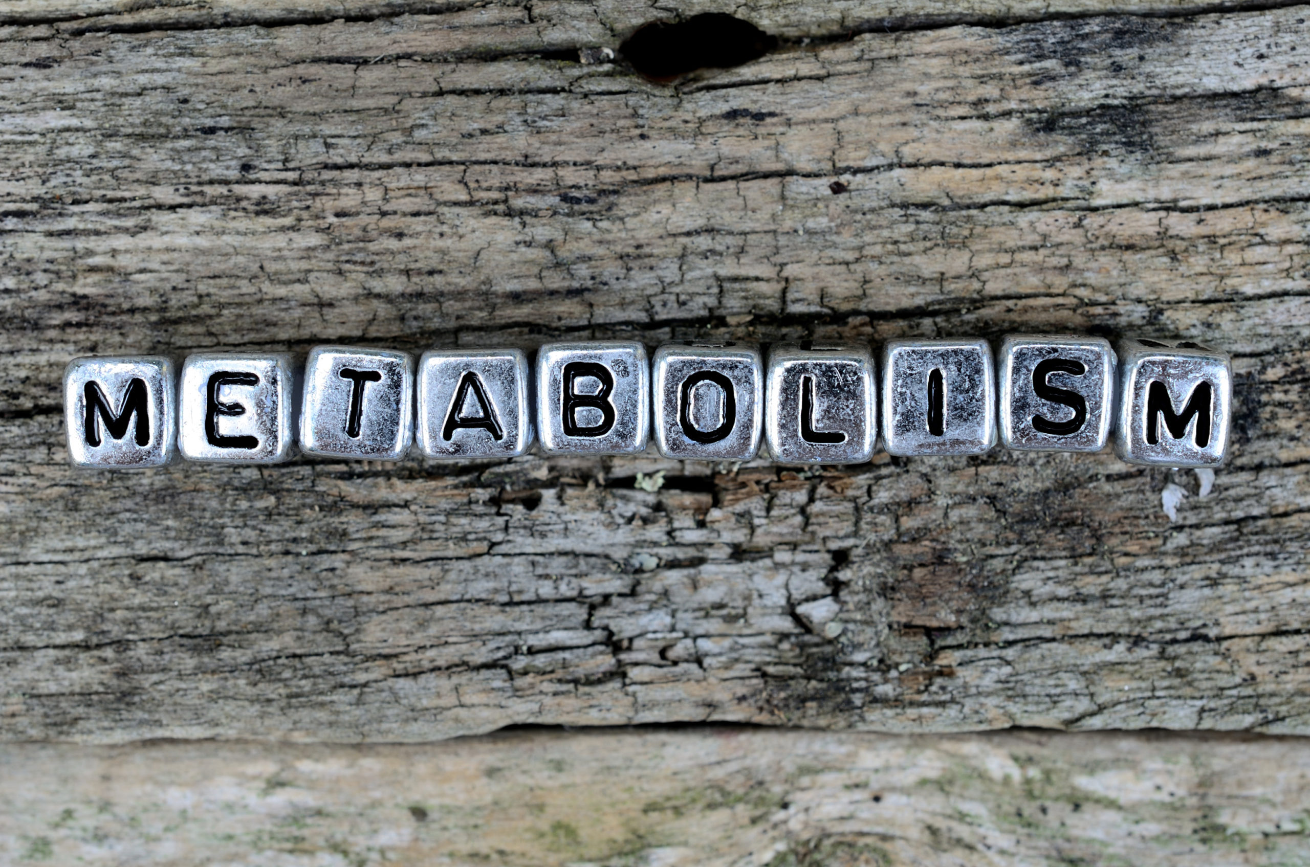 cube word metabolism on table